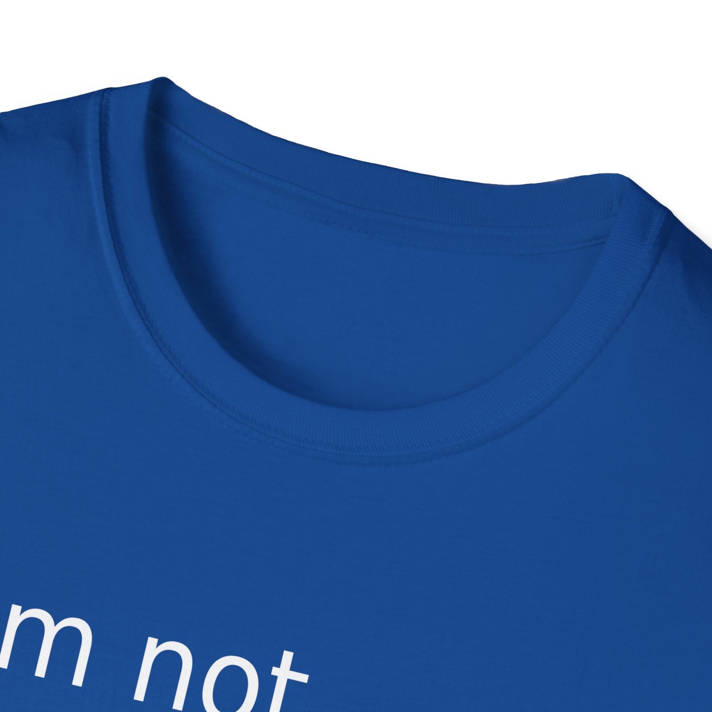 Statement t-shirt "I'm not doing shit today" for Relaxation, Gifts, and Everyday Wear